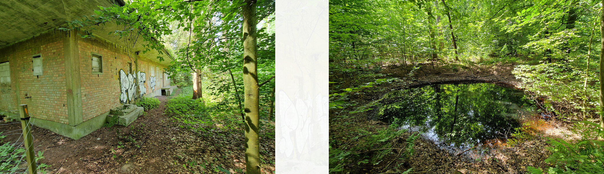 Erfassung der Biotoptypen in einer Struktur- und Nutzungskarte